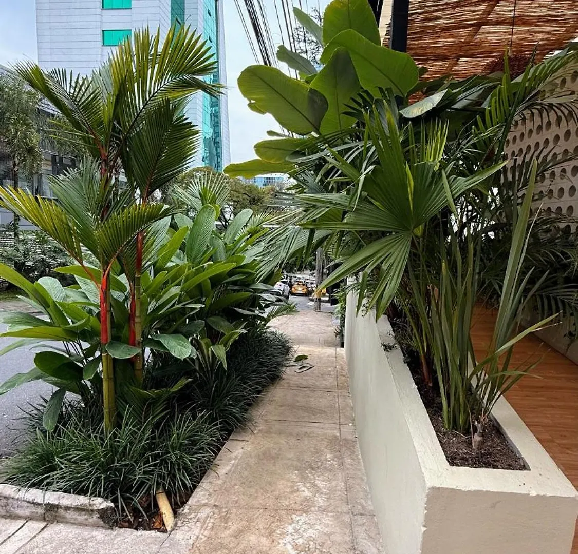 M De Oro Apartamentos Muuk Boutique Poblado Medellín 0*,